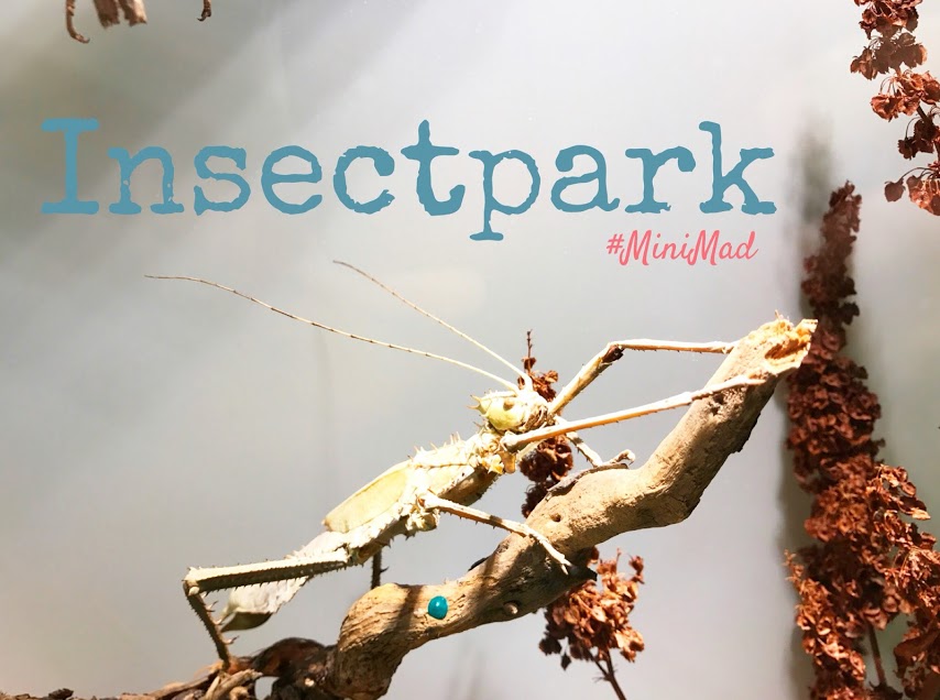 InsectPark. Minimad