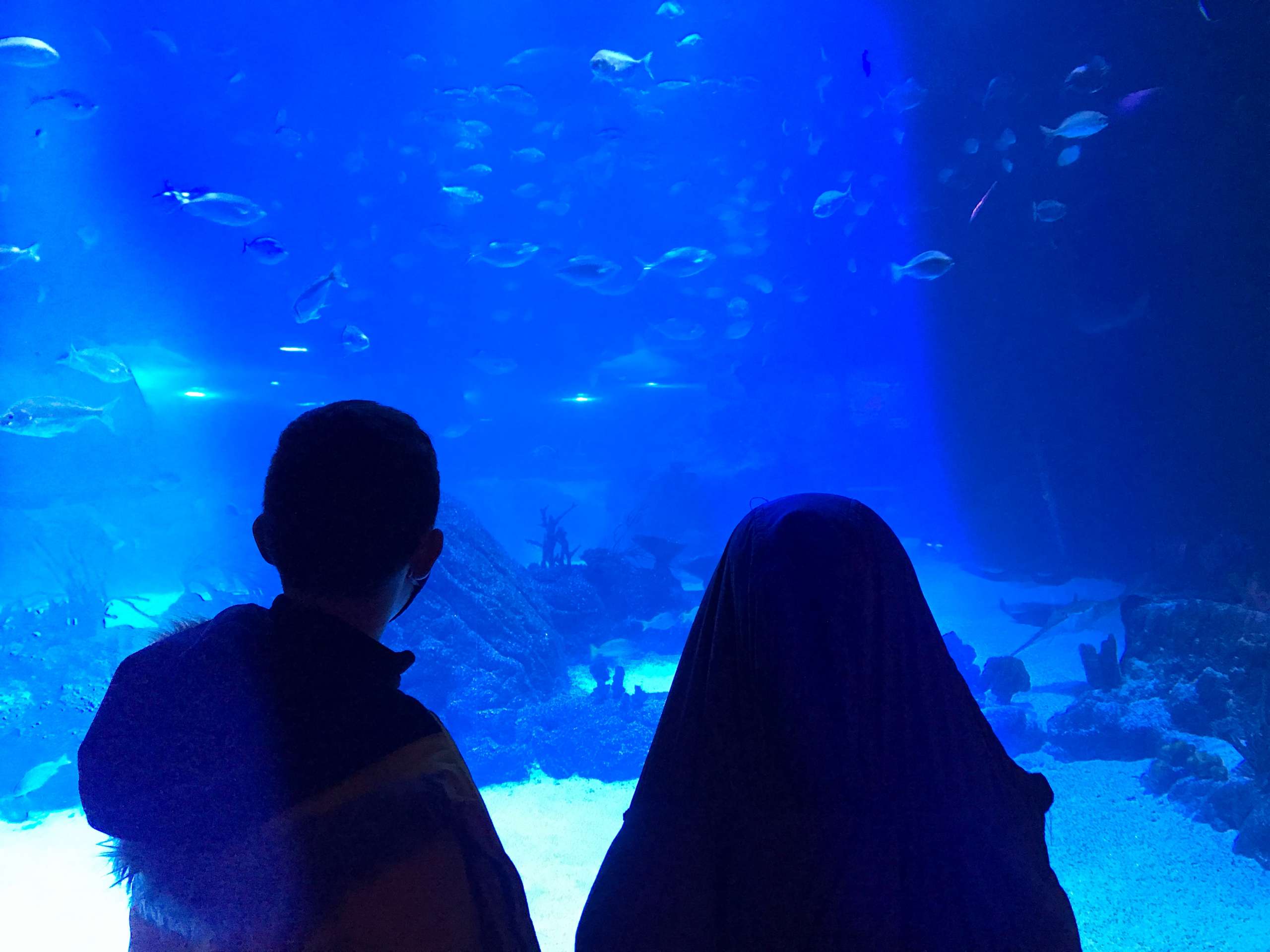 Atlantis Aquarium, descubriendo el océano